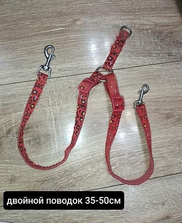 мышка ош: Продаю б/у амуницию для собак мелких и средних пород. оптом - 1350 — 5