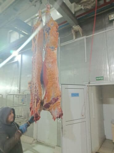 Говядина : Более 10 кг, Бесплатная доставка