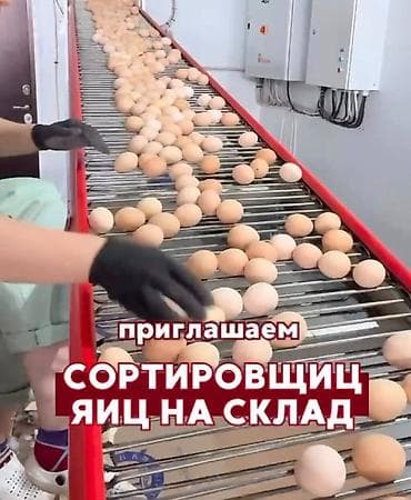 Вакансия: сортировщицы яиц на склад (Новопокровка) Мы предлагаем: -