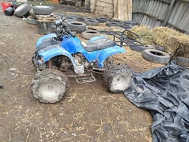 скутер водный: Квадроцикл Бензин, 110 куб. см, Детский — 3