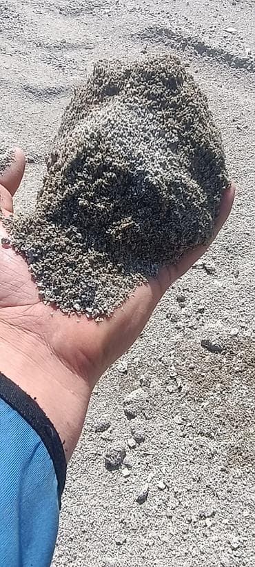 сухой карагач: Отсев Отсев Отсев Отсев Отсев Отсев Отсев Отсев Отсев Отсев Отсев — 4