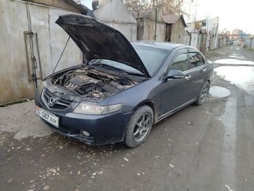 рекс бартовой: 1.Профессиональная чистка форсунок. 2.Чистка форсунок на Стенде — 6