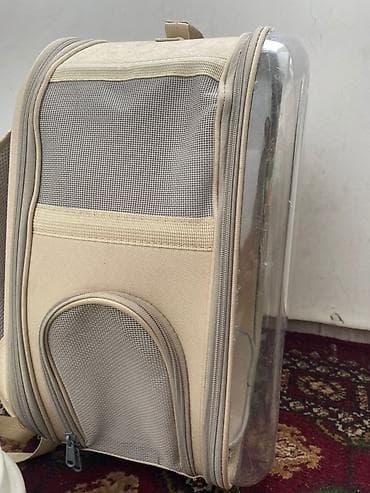 купить животных в бишкеке: ​🐱 Стартовый набор для котика: Переноска-рюкзак + Лоток + Аксессуары — 5