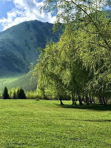 Jetour: 🌄 Откройте для себя дикие красоты с нашими джип-турами по горам! 🌄 — 4