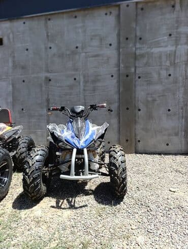 бэушные мотоциклы: Квадроцикл Honda, Бензин, 200 куб. см, Взрослый — 1