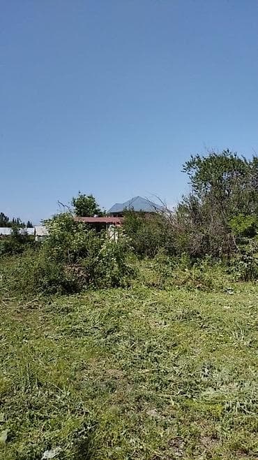 прямой эфир нарын: Уборка территории, Стрижка газона — 1