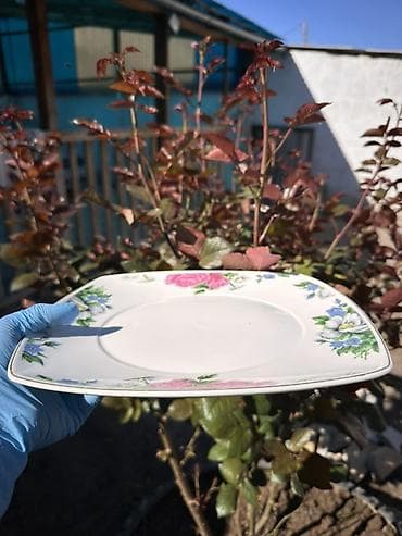 Кафелер, ресторандар үчүн: Посуда б/у Фруктовницы 3шт -1500с Для нарезки 4шт-1500 Тарелки — 6