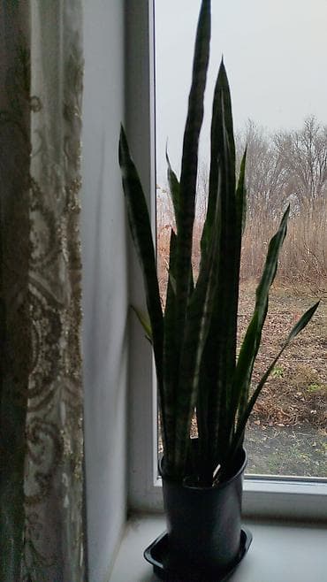 смеситель на раковину: Декор для дома и сада — 2