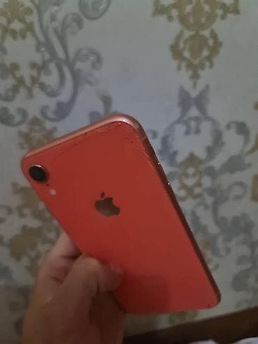 ipad 7th generation: IPhone Xr, Б/у, 64 ГБ, Коралловый, Чехол, 77 % — 2