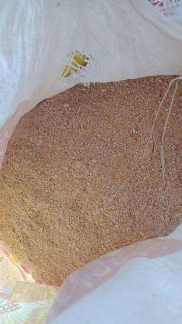 станок для гранулирования корма: Продаю дробленную кукурузу в початках - 22 сом — 2