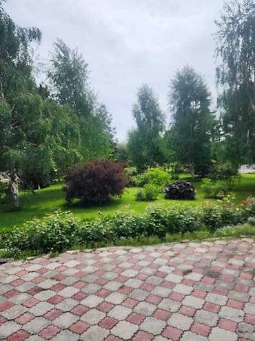 комната каракол: 3‑комнатная квартира в ЦО «Роял бич». Планировка и оснащение: - — 10
