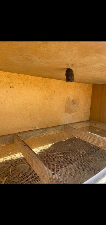 Ветеринар кызматы: Брудер для цыплят/молодняка птицы - Закрытая теплая коробка с — 7