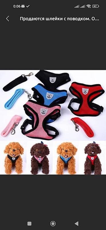 еж: Широкие шлейки с поводком для собак и кошек. Качество отличное — 8