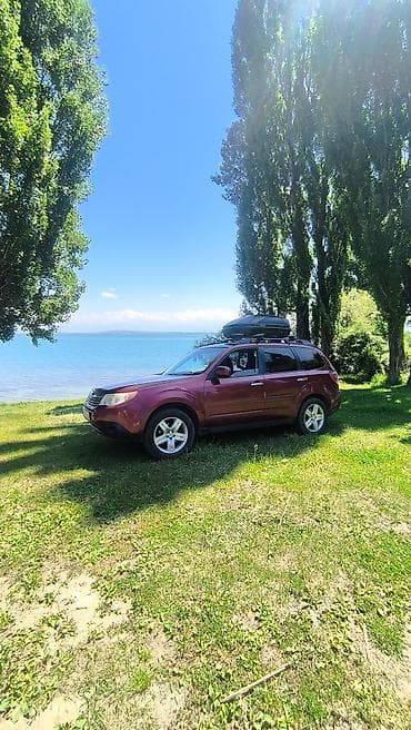 suba: Subaru Forester: 2010 г., 2.5 л, Автомат, Бензин, Кроссовер — 2