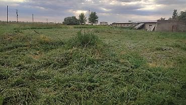 Кыймылсыз мүлк: 17 соток, Курулуш, Кызыл китеп — 2