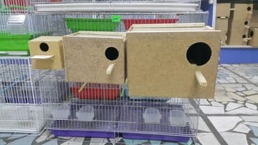 амадины: Гнезда для канарейки для амадин для волнистых и больших корел — 1