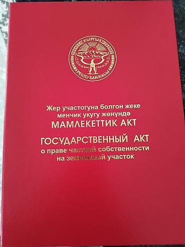 тынчтык ж м: 8 соток, Курулуш, Кызыл китеп — 1