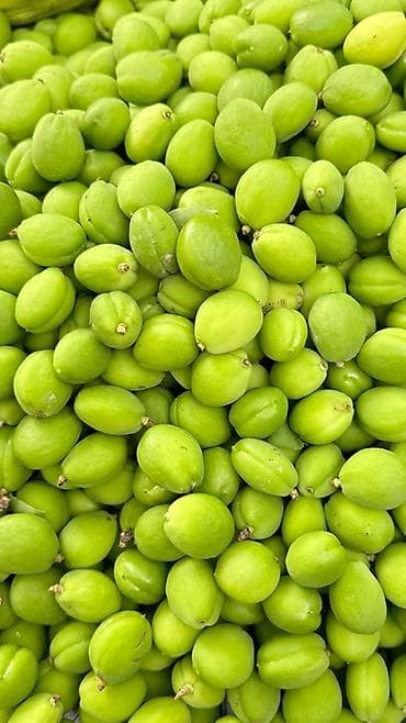 слива фрукты: Зелёные недозрелые манго (кормовые/для кухонь и заготовок) - Сорт — 2