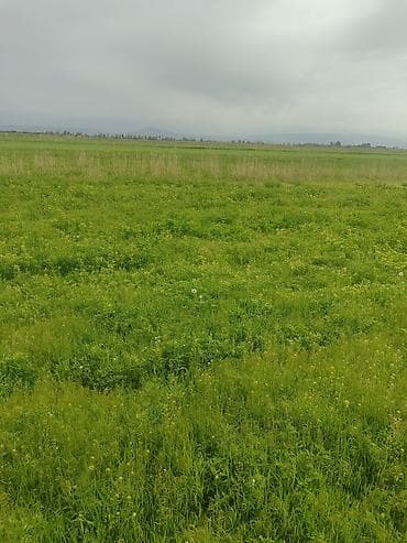 земельный участок продажа: 230 соток, Для сельского хозяйства — 5