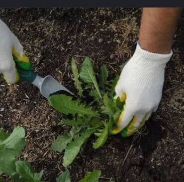 сколько стоит обучение на маникюр: Сделали ландшафтный дизайн? Нужно поддерживать его в идеальном — 5