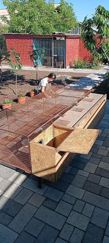 купить белку: Продаю отличные клетки для кролиководов. одна на четыри самки с — 4