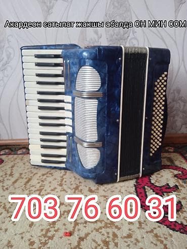 комуз для детей: Акардеон, синий перламутровый корпус. Клавиатурная сторона — — 3