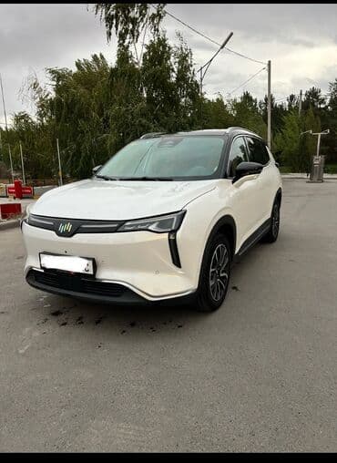 w6: Weltmeister W6, 2021 г., 78846 км, Передний, В наличии — 3