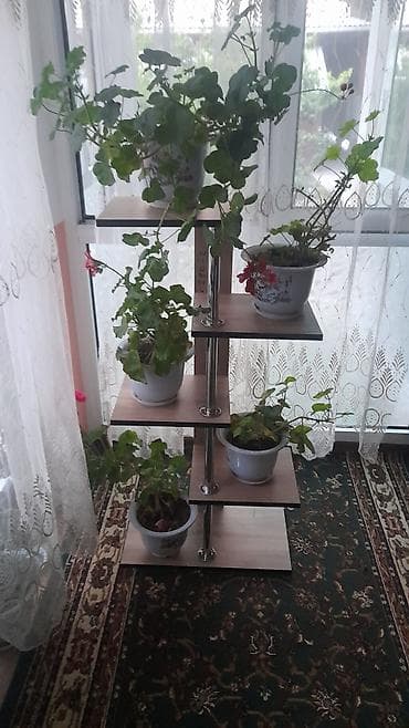 Полка, этажерка для цветов, ЛДСП
