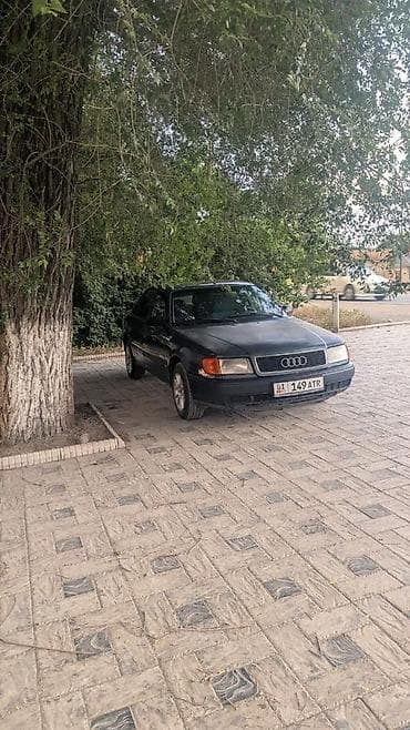 195 65 15 с: Audi 100: 1991 г., 2.3 л, Седан — 2