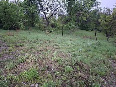 Земельные участки: 4 соток, Для строительства, Красная книга — 3