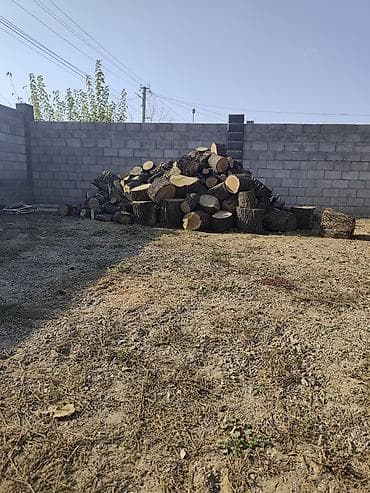 kugoo v3: Услуги бензопилы — 3