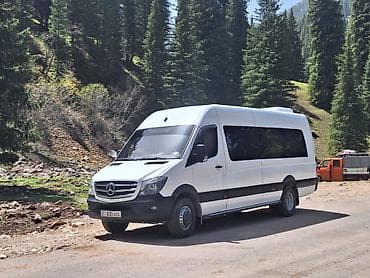 батарея скутер: Mercedes-Benz Спринтер: 2008 г., 3.2 л, Механика, Дизель, Бус — 2