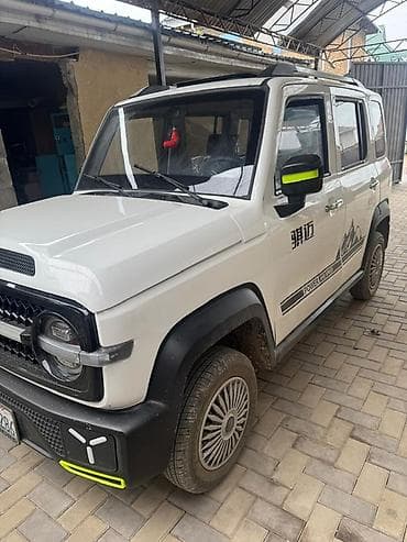 mini ev: Компактный электрический внедорожник (4 двери, 4/5 мест). Основные — 2