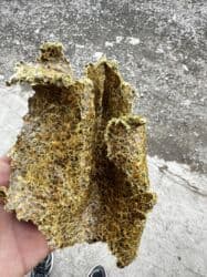 весы для животных: Пахта кунжара
Хлопковое жмых — 1