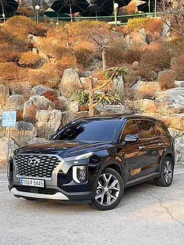 tsunami 100: Hyundai Palisade: 2019 г., 2.2 л, Автомат, Дизель, Кроссовер — 3