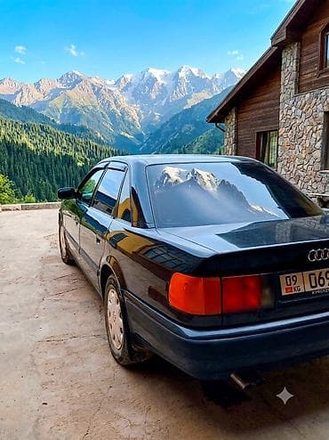 Audi 100: 1992 г., 2.6 л, Кол менен иштөөчү, Седан — 3