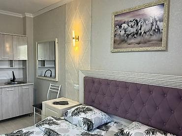 квартиры в кара балте: Студия, Люкс, элитка, Карагачевая роща, Душевая кабина, Постельное белье, Кондиционер — 6
