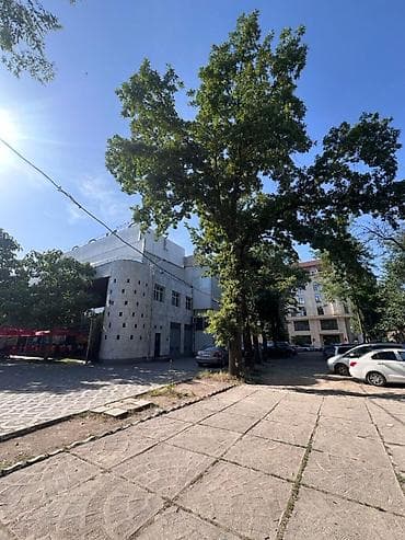 Коммерциялык мүлк: 🏢 КОММЕРЧЕСКОЕ ПОМЕЩЕНИЕ В ЗОЛОТОМ КВАДРАТЕ БИШКЕКА 📍 Бизнес-центр — 5