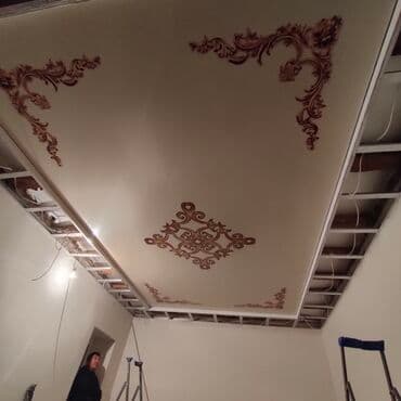 фикус большой: Натяжной потолок Глянцевое, Матовое, 3D потолки Гарантия, Бесплатная консультация, Бесплатный замер — 8