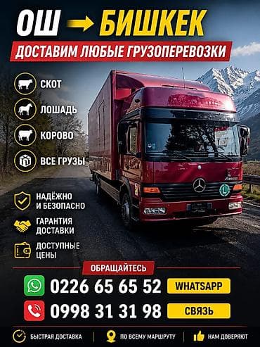 ош жапалак: Грузоперевозки Ош ⇄ Бишкек - Доставка любых грузов по направлению Ош — 2