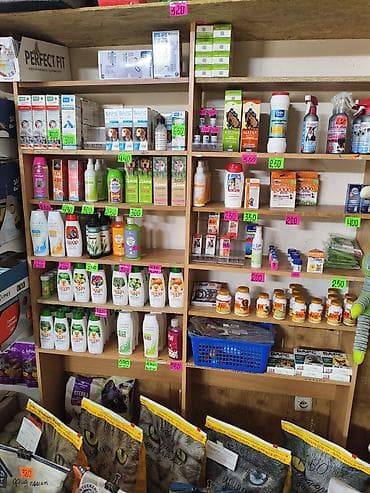 Зоотовары: Зоотовары для собак и кошек — большой выбор в одном месте Оформляем — 8