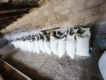 Рисовые отруби - Однородная фракция, без посторонних примесей