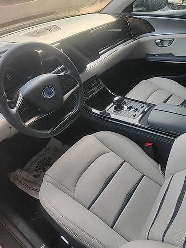 степ эреф 1: BYD E9: 2021 г., 0.1 - engine capacity л, Автомат, Электромобиль, Седан — 3