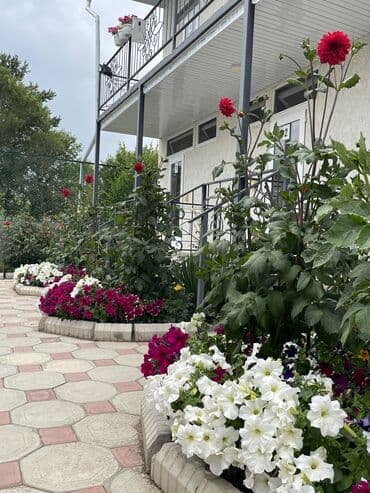 горячие источники тамчы: Номер, Славянка Бостери, Барбекю, Унаа токтотуучу жай, унаа туруучу жай — 16