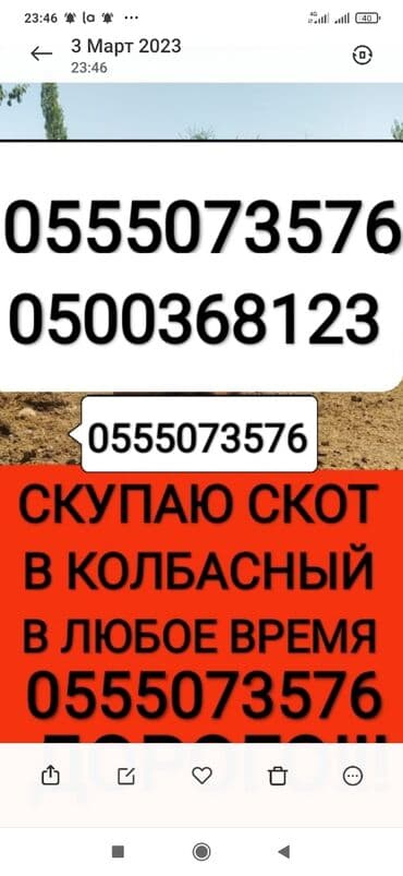 продам бу оборудование для птицефабрики: Сатып алам | Уйлар, букалар, Жылкылар, аттар, Башка а/ч жаныбарлары | Күнү-түнү, Бардык шартта, Союлган — 1
