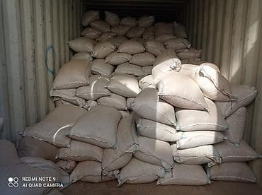 кукуруза месный: Эспарцет уроон!!!Семена эспарцет!!! Оптом! Оптом! Келпилдиги менен!! — 2