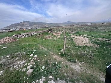 арловка участок: 80 соток, Для сельского хозяйства — 3