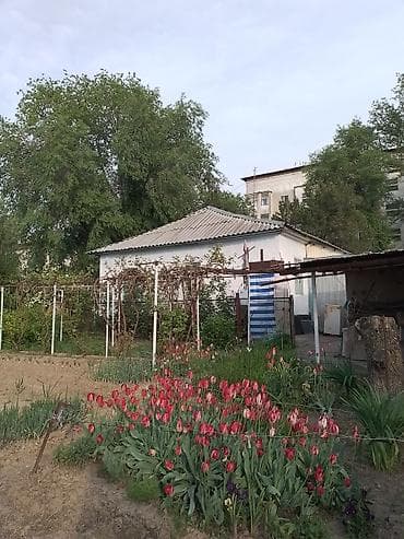 сан уйлар: Продаётся частный дом с двориком и садом. Характеристики: - Отдельно — 5