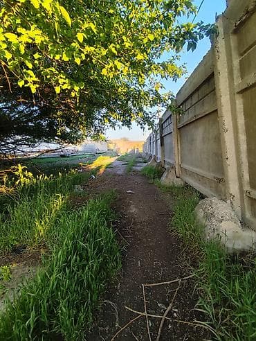 экскурсия в парк: 36 соток, Для строительства, Красная книга — 7