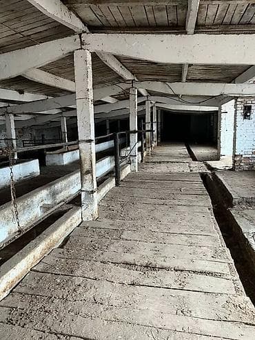 спарк авто: Chevrolet Spark: 2017 г., Автомат, Бензин, Хэтчбэк — 5